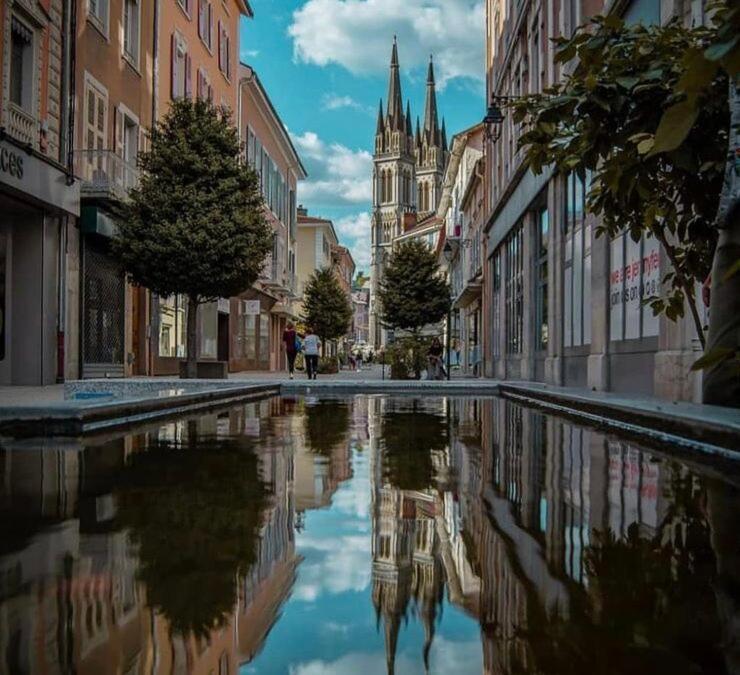Appart Chartreux Baignoire Massante ,A 3 Minutes Du Centre En Bus! 2 Etoiles Atout France Voiron Dış mekan fotoğraf